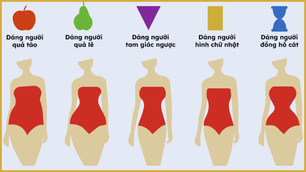 Hiểu rõ vóc dáng cơ thể của bạn